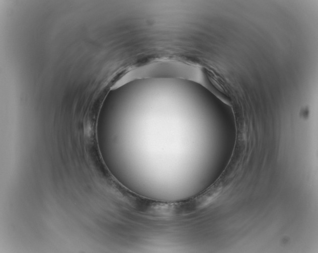 X0000089880084200707262218