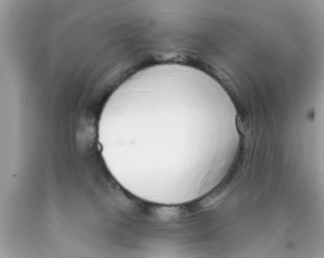 X0000089880085200707262218