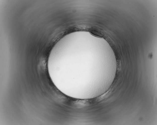 X0000089880086200707262218