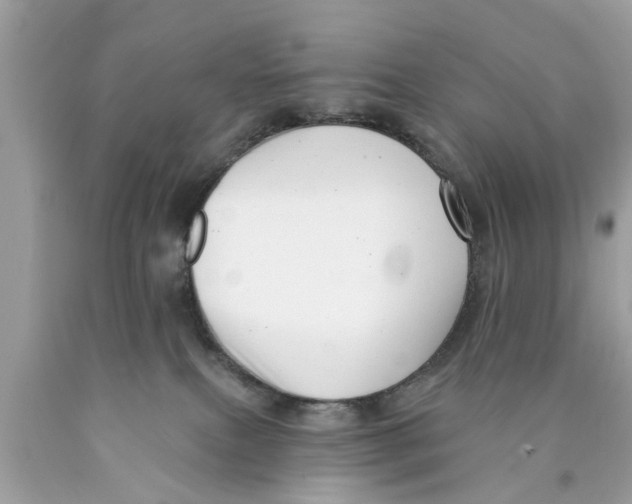 X0000089880087200707262218