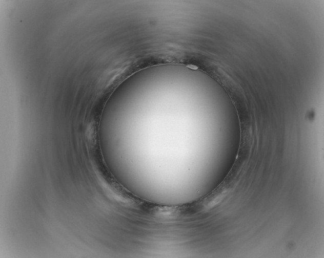 X0000089880088200707262218