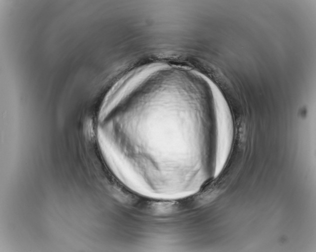 X0000089880089200707262218