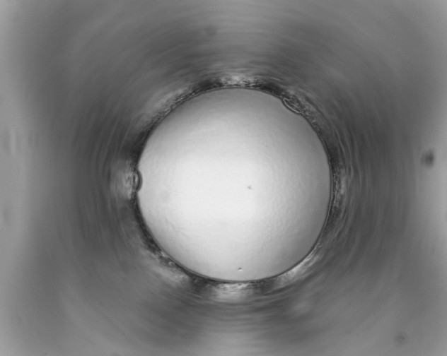 X0000089880090200707262218