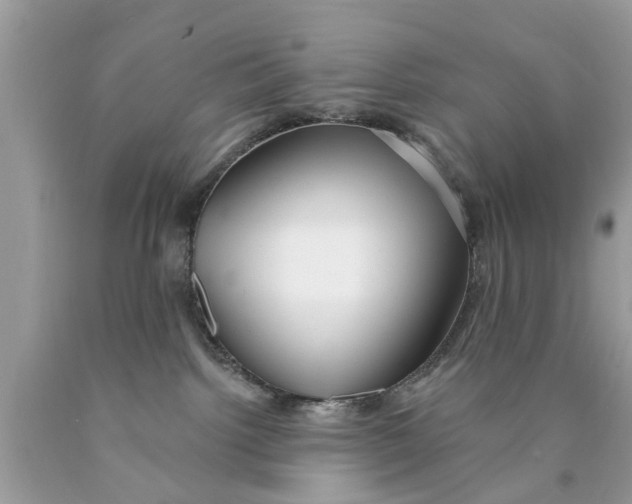 X0000089880092200707262218