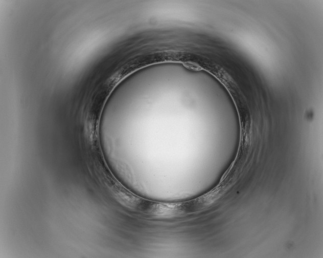 X0000089880093200707262218