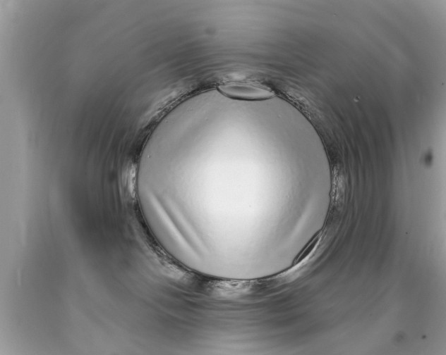 X0000089880094200707262218