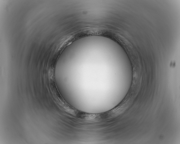 X0000089880096200707262218