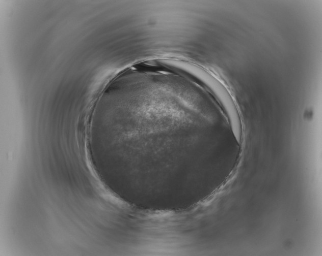 X0000089880097200707262218