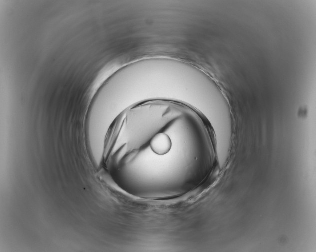 X0000089880099200707262217