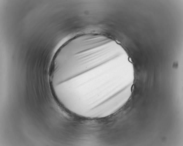 X0000089880100200707262217