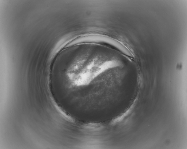 X0000089880101200707262217