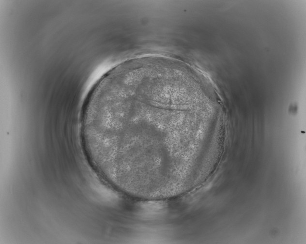 X0000089880102200707262217