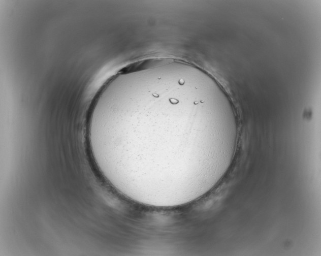 X0000089880103200707262217