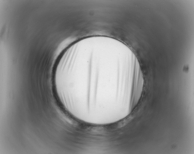 X0000089880104200707262217