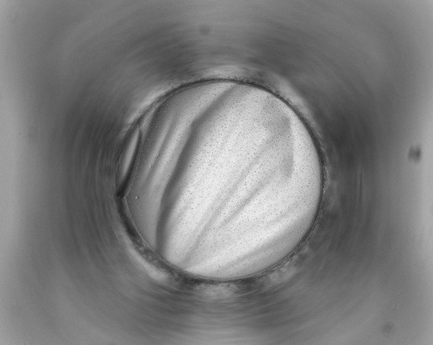 X0000089880106200707262217