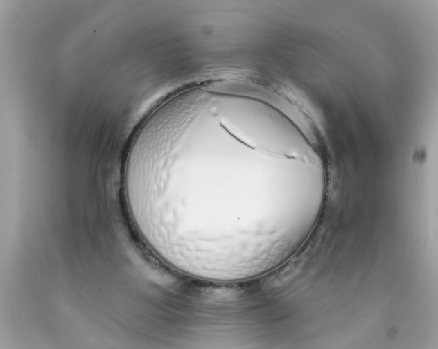 X0000089880107200707262217