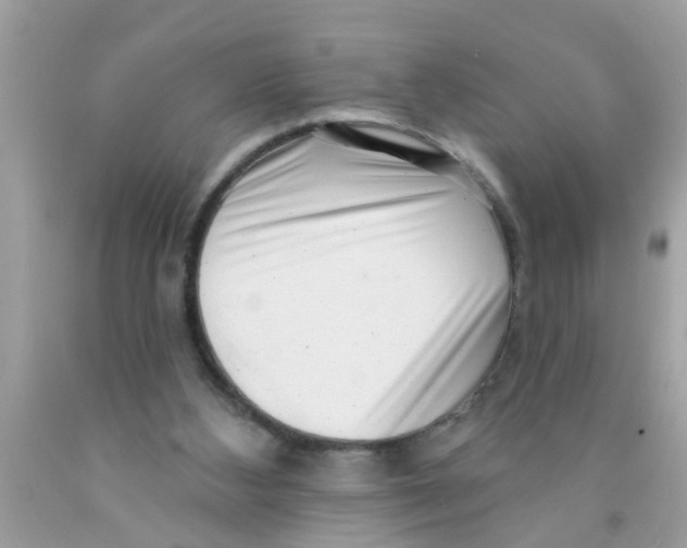 X0000089880108200707262217