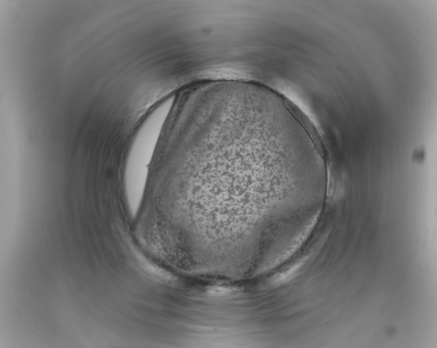 X0000089880109200707262217