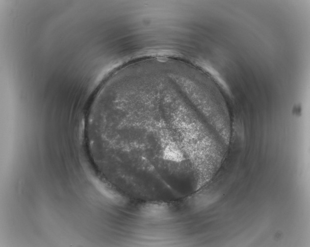 X0000089880110200707262217