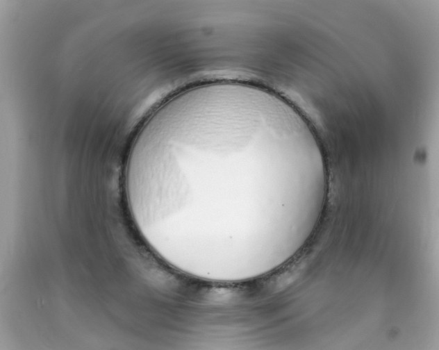 X0000089880111200707262217