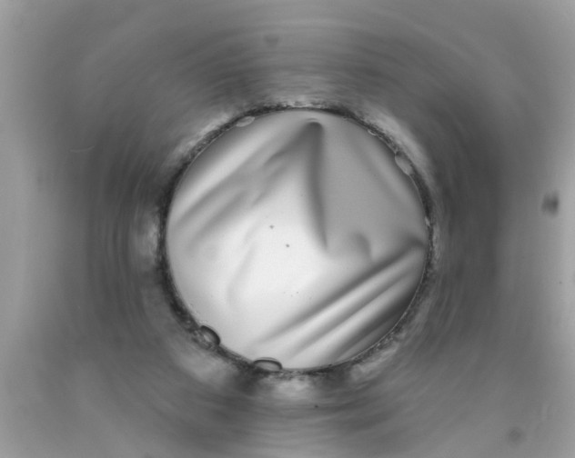 X0000089880113200707262217