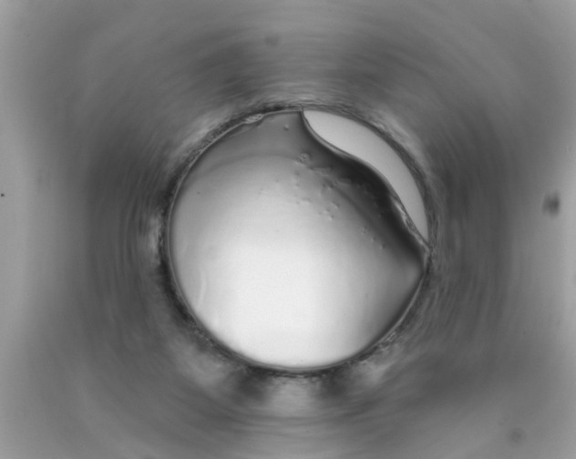 X0000089880115200707262217