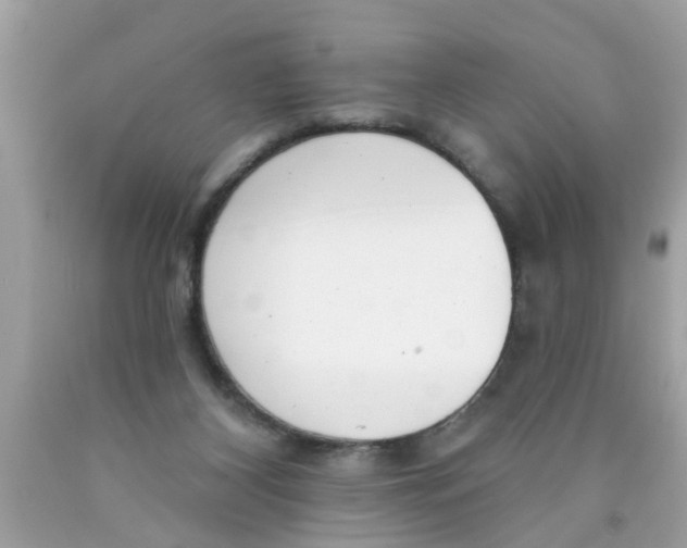 X0000089880116200707262217