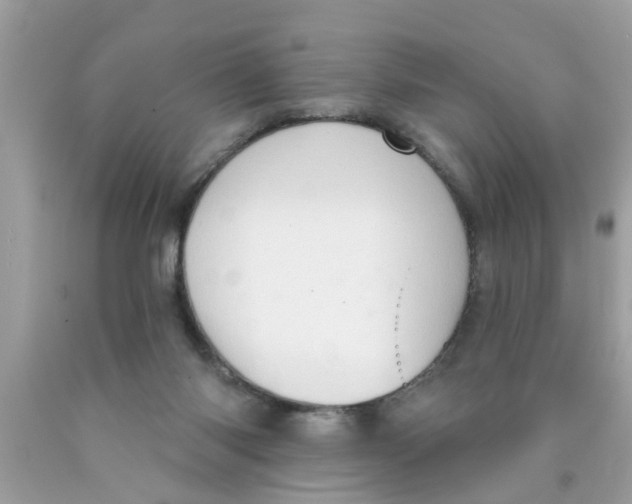 X0000089880118200707262217