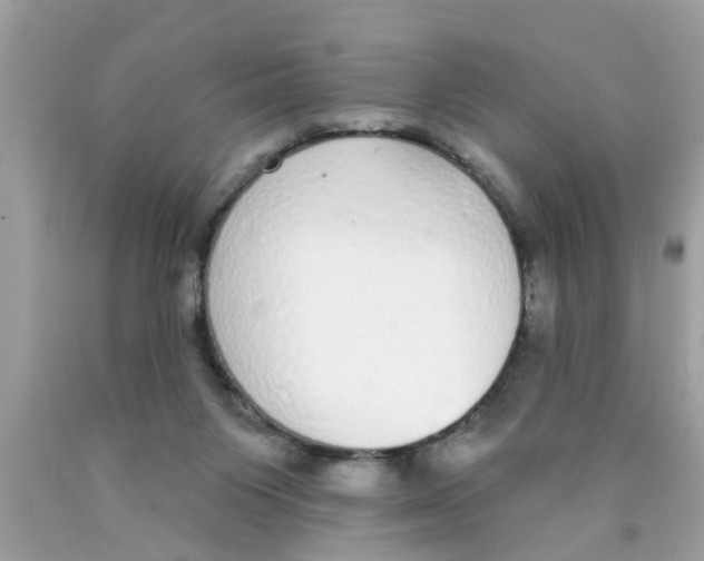 X0000089880119200707262217