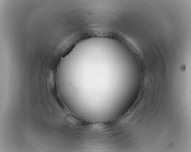 X0000089880121200707262217