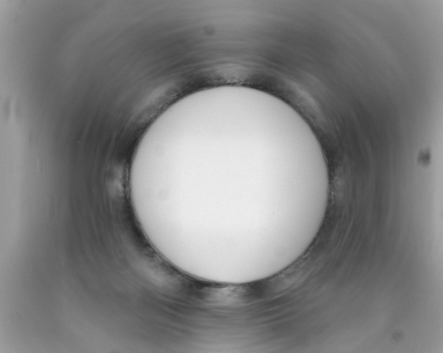 X0000089880122200707262217