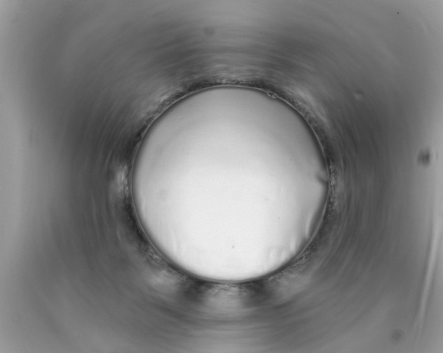 X0000089880123200707262217