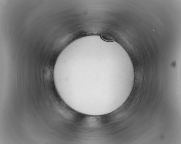 X0000089880126200707262217