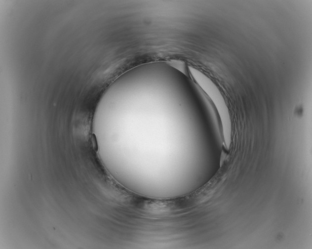 X0000089880129200707262217