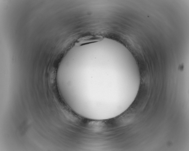 X0000089880133200707262217