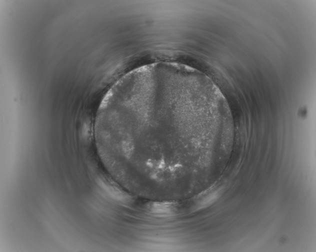 X0000089880134200707262217