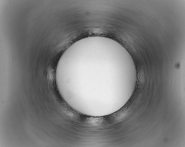 X0000089880135200707262217