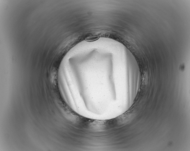 X0000089880138200707262217