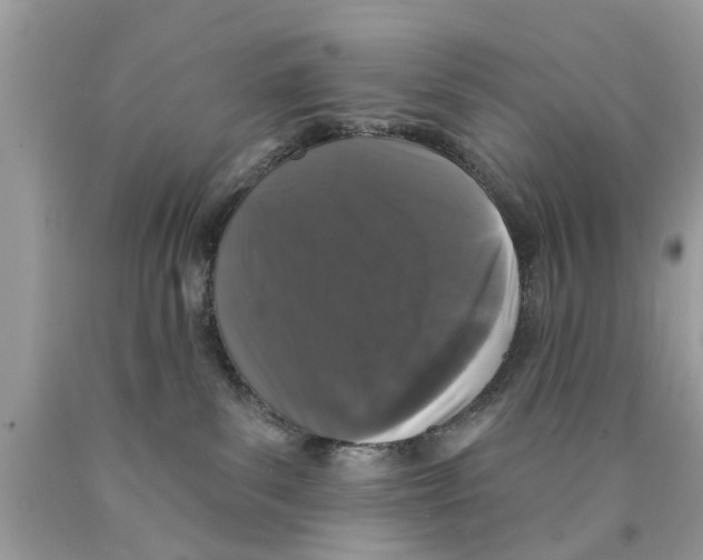 X0000089880139200707262217