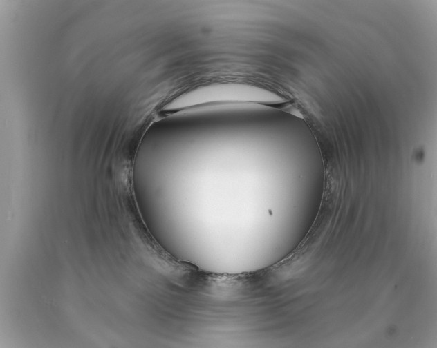 X0000089880141200707262217