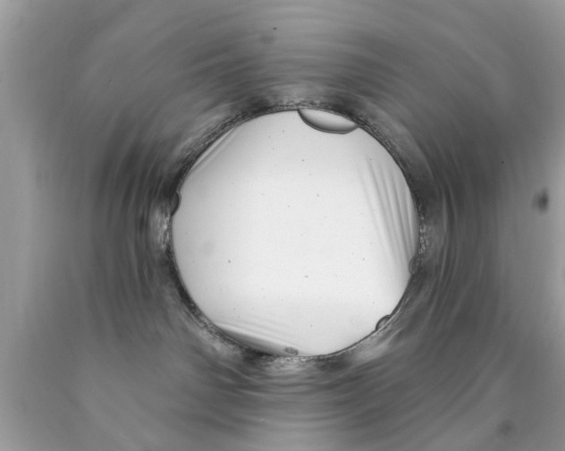 X0000089880142200707262217