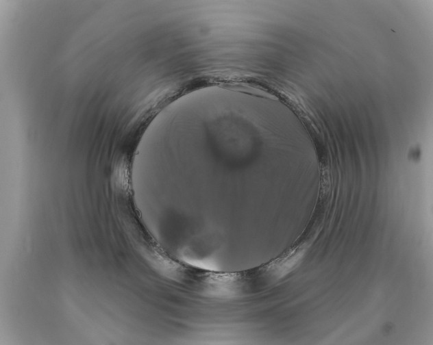 X0000089880143200707262217