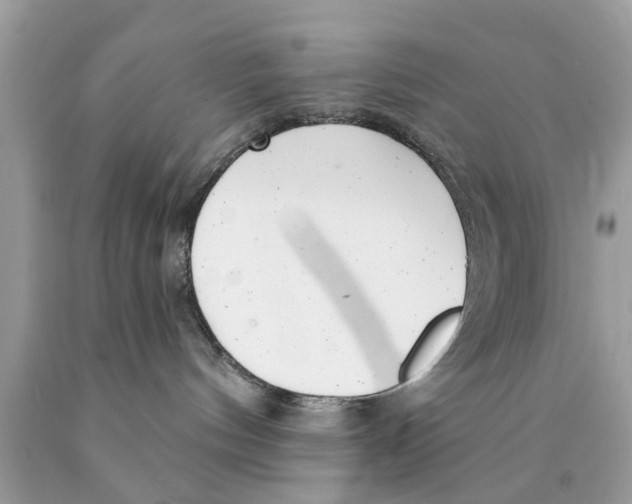 X0000089880144200707262217