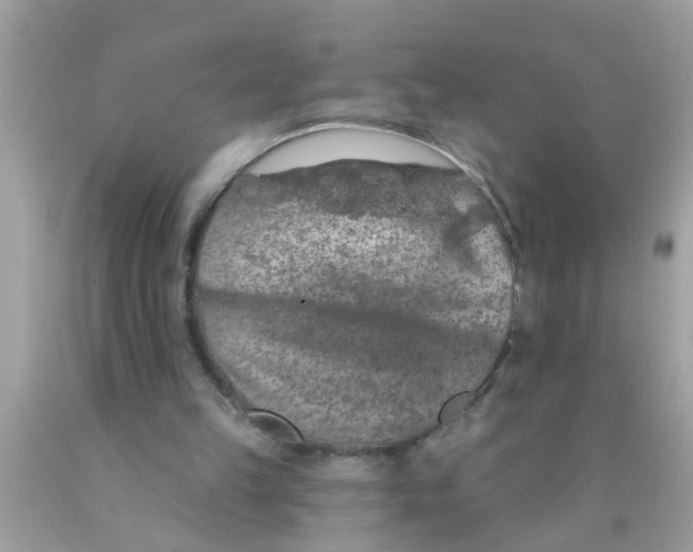 X0000089880149200707262216