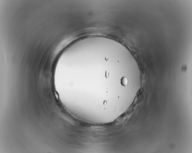 X0000089880150200707262216