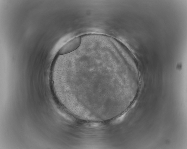 X0000089880151200707262216