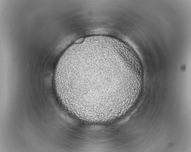 X0000089880153200707262216