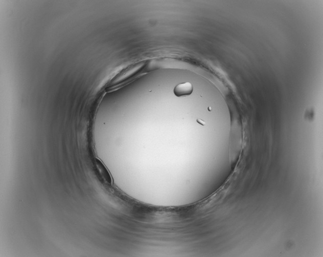 X0000089880154200707262216