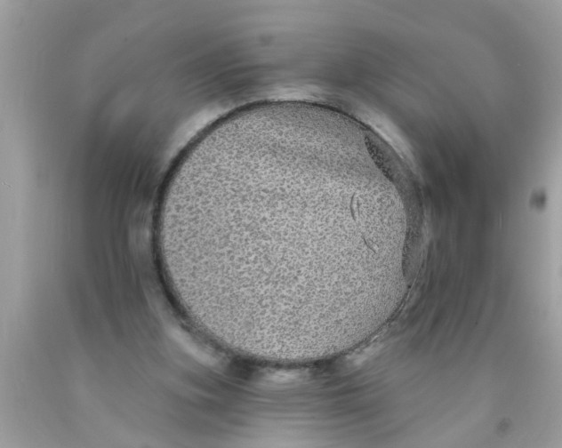 X0000089880155200707262216