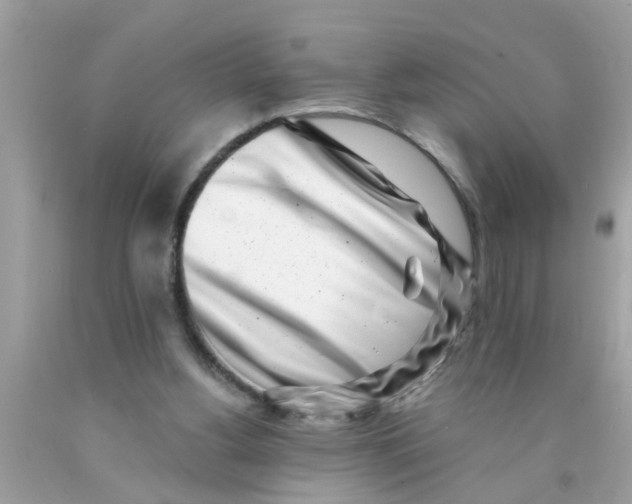 X0000089880156200707262216